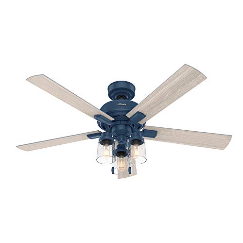 Hunter Fan Company Ventilador de techo 50651 Hartland