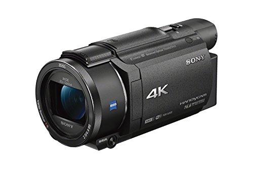 Sony FDRAX53/B Videocámara de grabación de video HD 4K (negra)