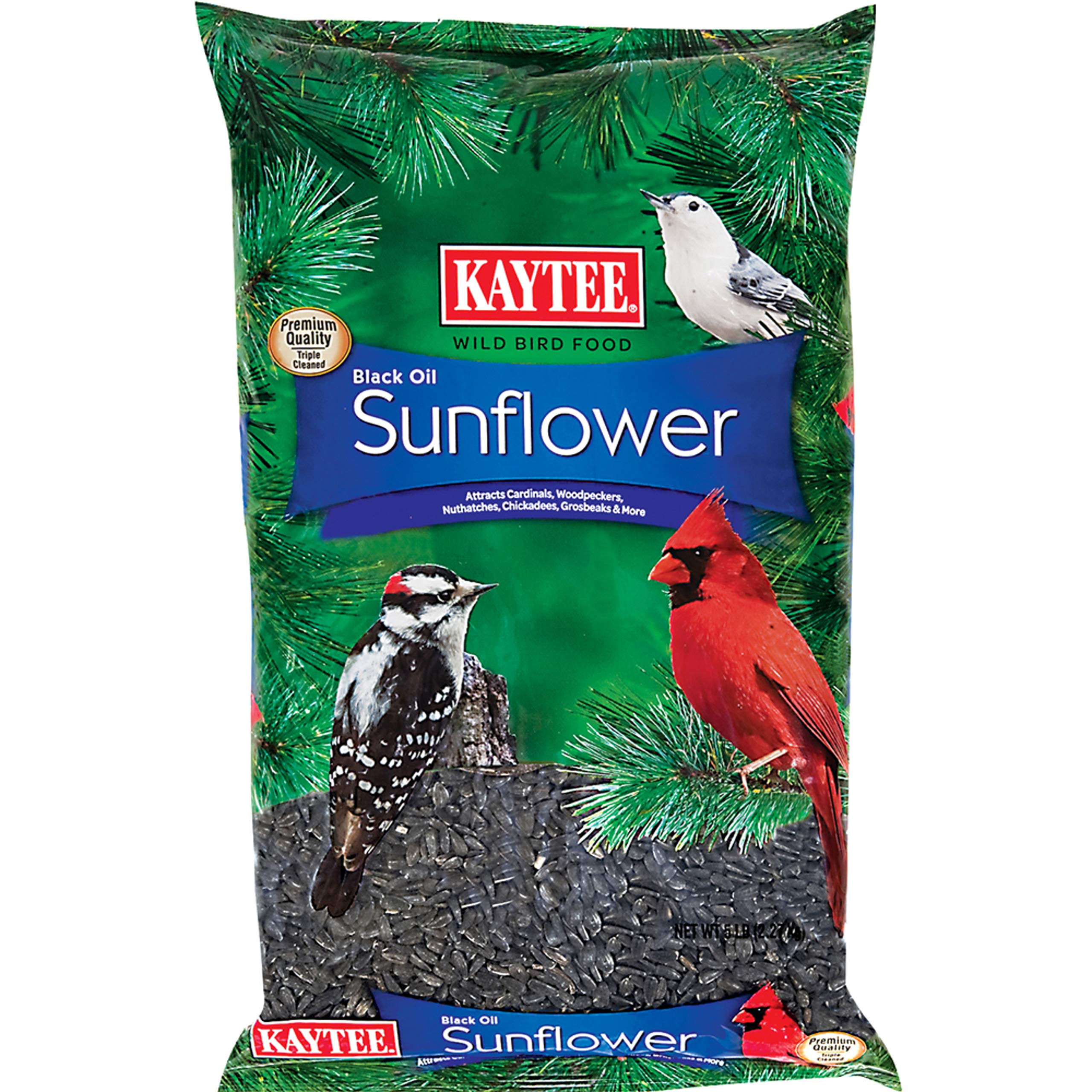 Kaytee Wild Bird Black Oil Girasol Alimento